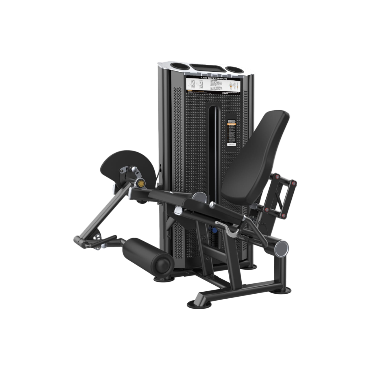 Leg Extension
