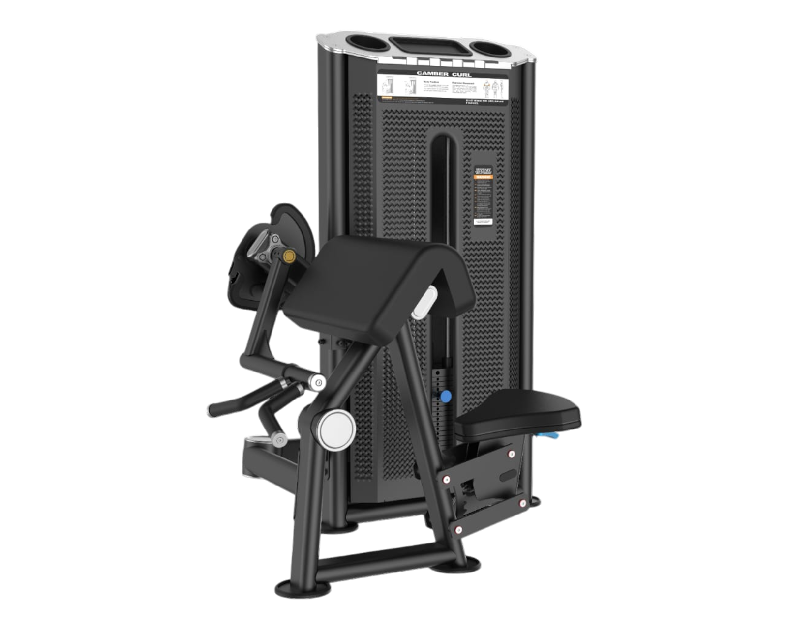 Biceps Curl