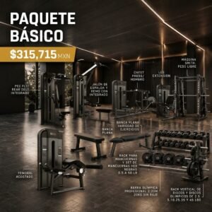 basico grid