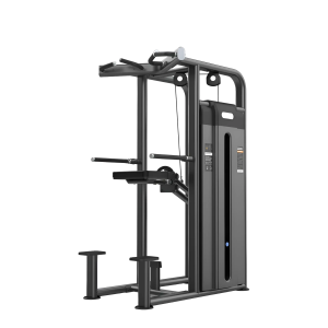 Dip Chin Assist ST - BLACKLINE Linea ST