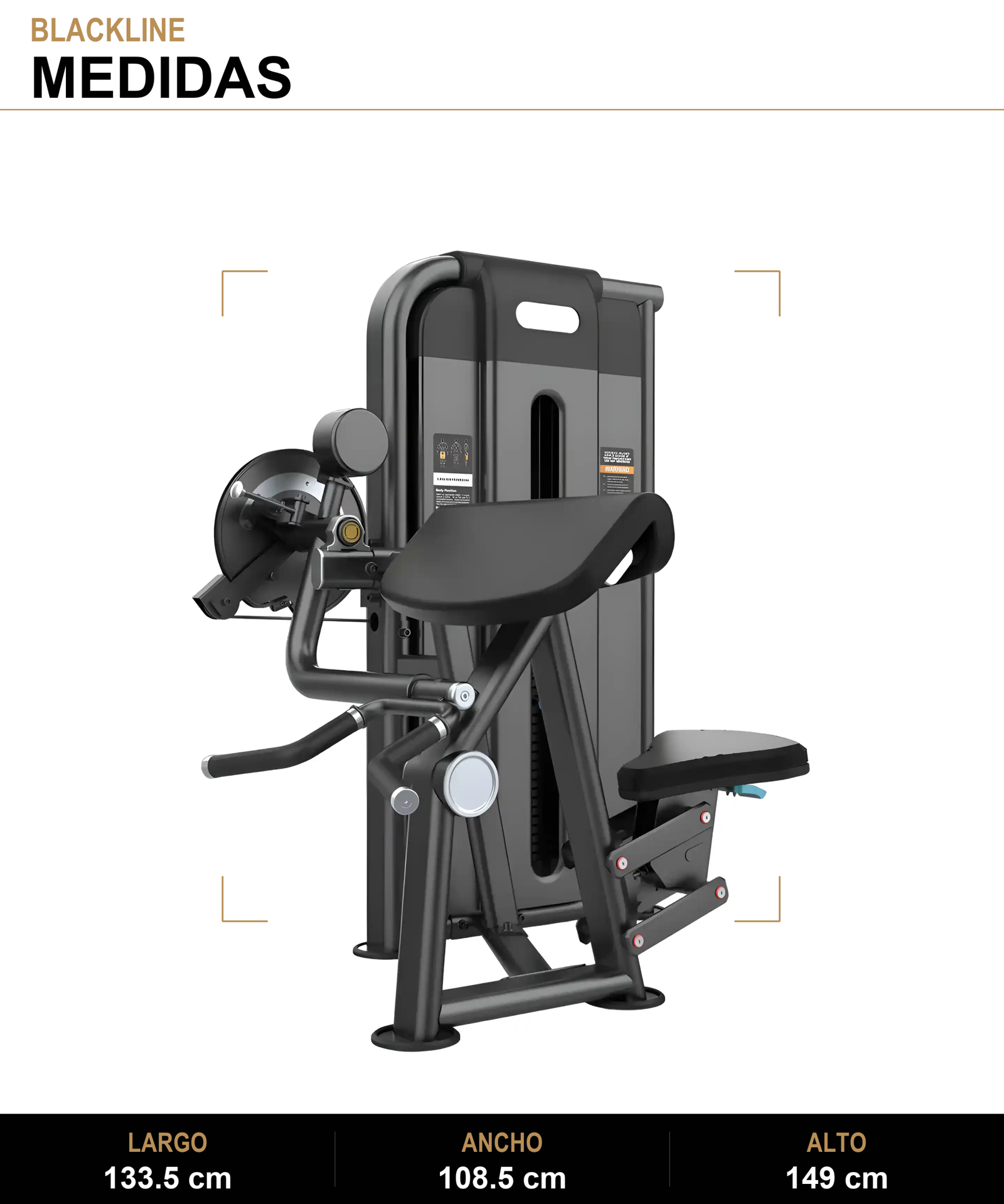 Camber Curl y Triceps ST - Medidas - BLACKLINE